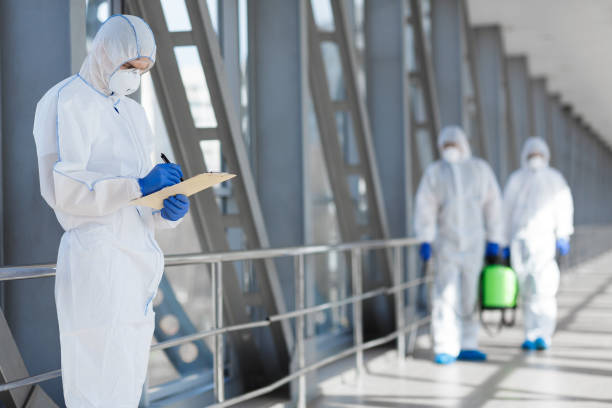 Professional Mold Removal in Malmstrom Af, MT
