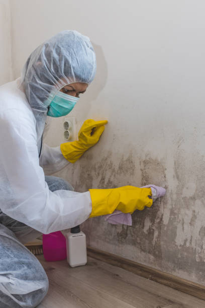 Best Mold Prevention Services  in Malmstrom Af, MT