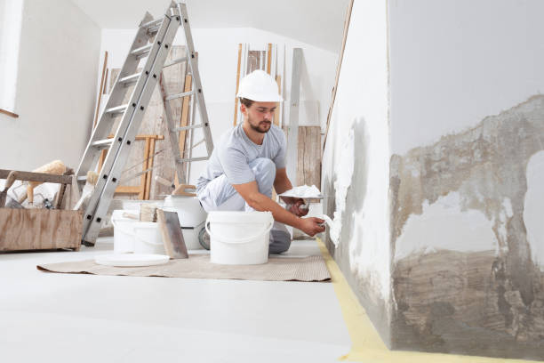 Best Attic Mold Removal  in Malmstrom Af, MT