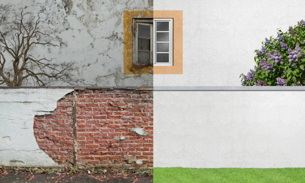 Best Mold Damage Restoration  in Malmstrom Af, MT