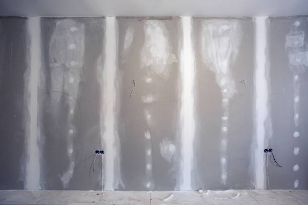 Best Mold Removal for HVAC Installations  in Malmstrom Af, MT